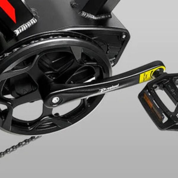 g force 750w zm fat tire electric bike
