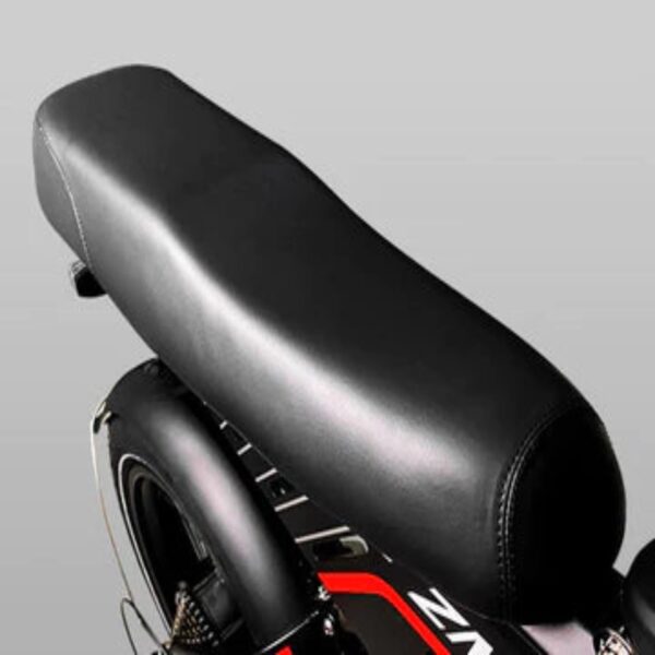 g force 750w zm fat tire electric bike