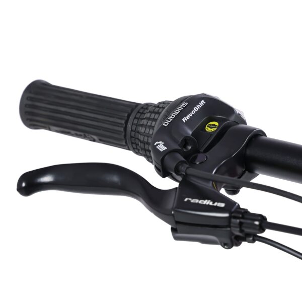 micargi raiatea 500w tandem electric bicycle