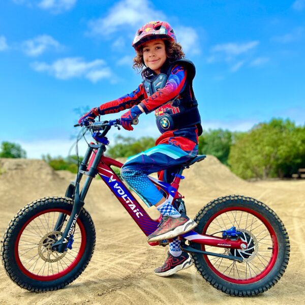 voltaic youth electric dirt bike 18'' flying fox