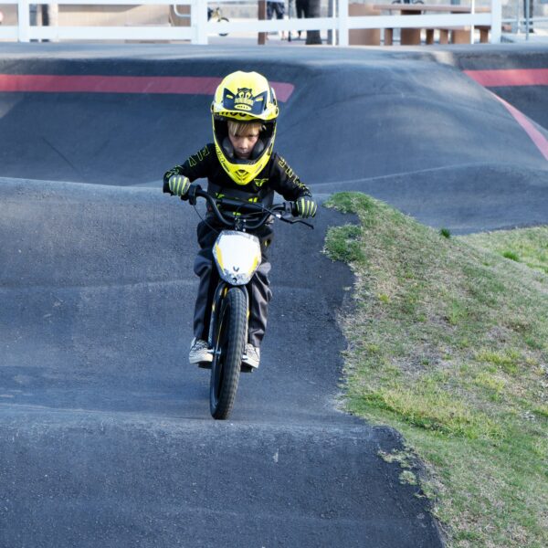 voltaic kids electric dirt bike 16'' lion pro