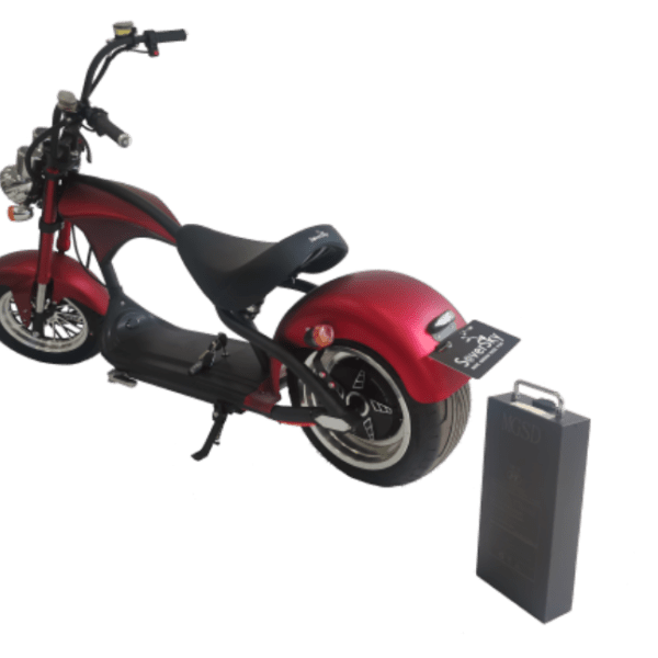 extra lithium battery soversky scooter back up removable battery
