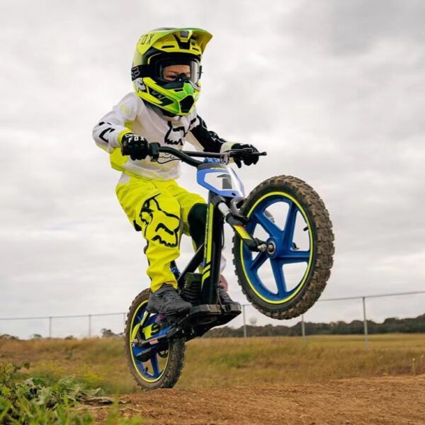 voltaic kids electric dirt bike 12'' cub