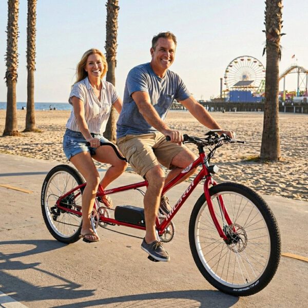 micargi raiatea 500w tandem electric bicycle