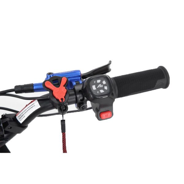 voltaic youth electric dirt bike 18'' flying fox