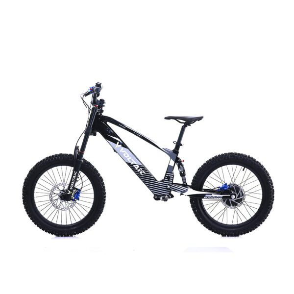 voltaic youth electric dirt bike 20'' flying fox