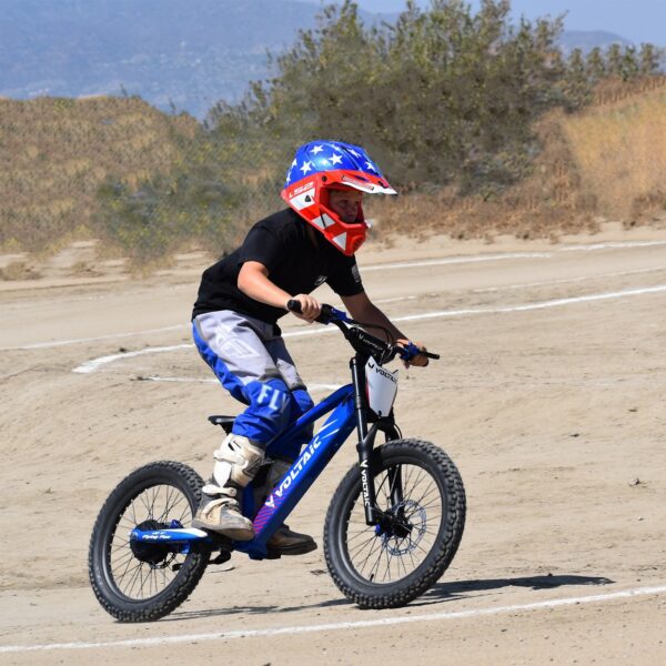 voltaic youth electric dirt bike 20'' flying fox 48v