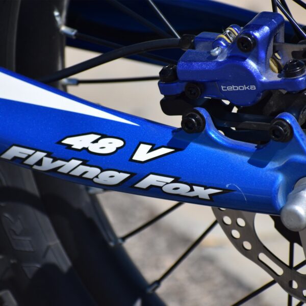 voltaic youth electric dirt bike 20'' flying fox 48v