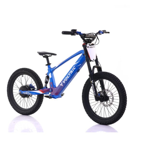 voltaic youth electric dirt bike 20'' flying fox 48v