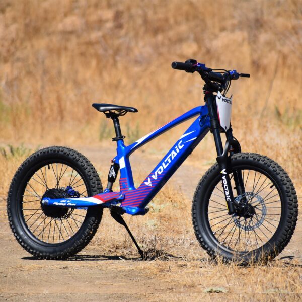 voltaic youth electric dirt bike 20'' flying fox 48v