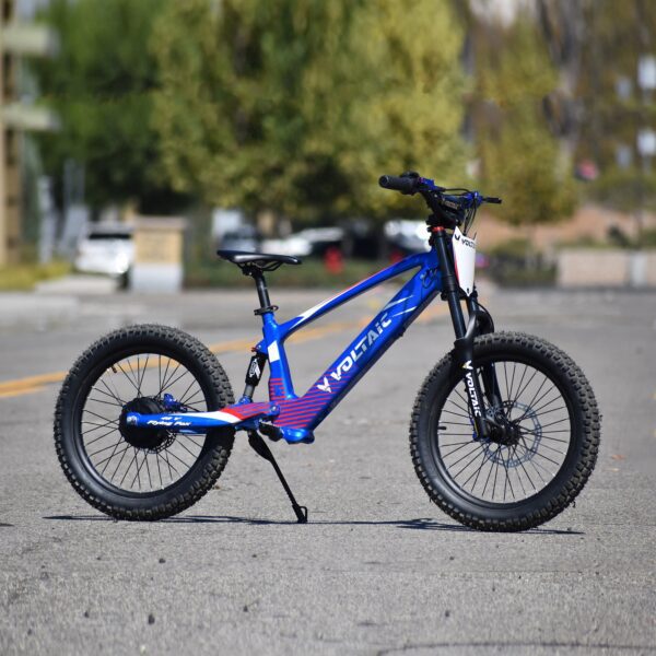voltaic youth electric dirt bike 20'' flying fox 48v