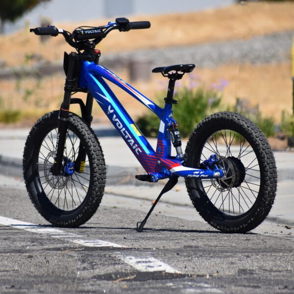 voltaic youth electric dirt bike 20'' flying fox 48v