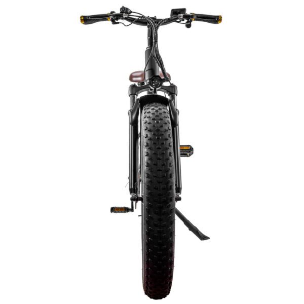 nakto cruiser 2 48v/12ah 750w fat tire electric bike