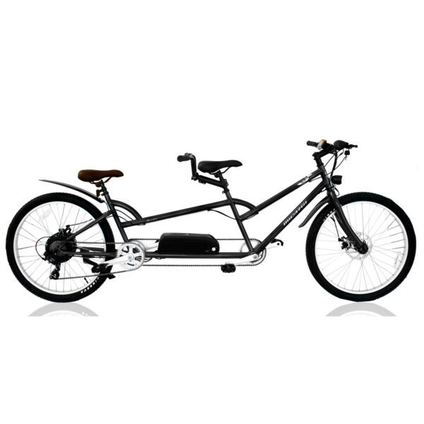 micargi raiatea 500w tandem electric bicycle
