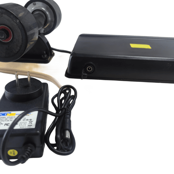 city walker 300w electric skateboard best friend for commuting