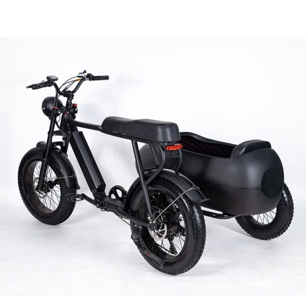 sidecar for electric bike