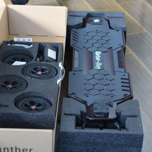 wild buffalo 5600w electric skateboard passion style for professional