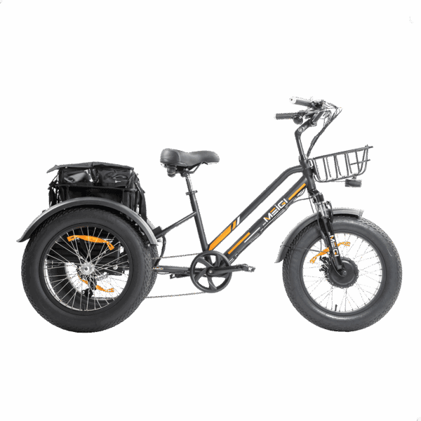 DWMEIGI MG1703 Zeus 3-Wheel Fat Tire Electric Trike