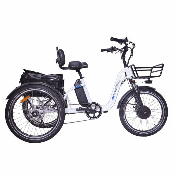DWMEIGI MG2303 Blazer Full Suspension Electric Trike